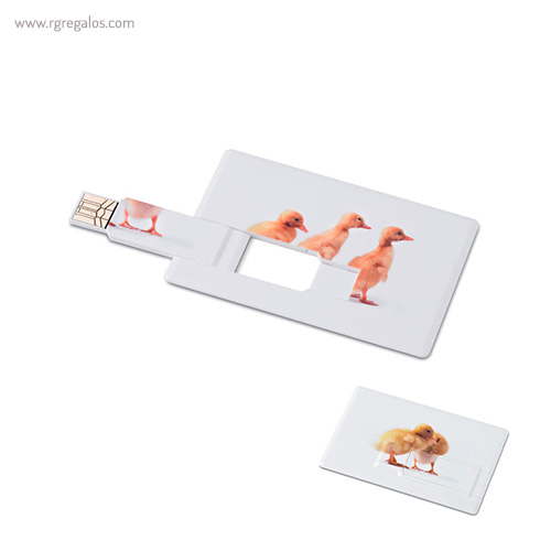 Memoria USB en forma de tarjeta - RG regalos publicitarios