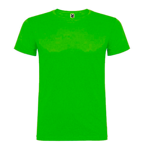 Camiseta 100 algodón manga corta 155 gr verde 2 rgregalos