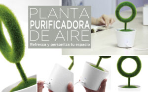Planta purificadora de aire blog rg regalos publicitarios