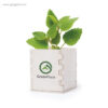 Macetero-biodegradable-RG-regalos
