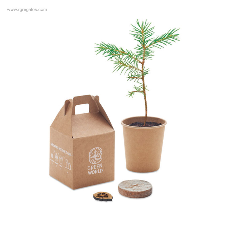 Macetero-cartón-semillas-pino-RG-regalos-personalizados