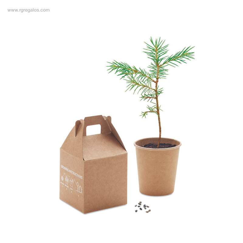 Macetero-cartón-semillas-pino-RG-regalos-promocionales
