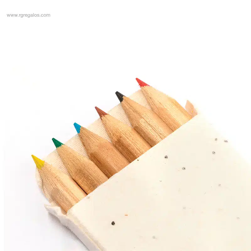 Caja lápices semillas 6 colores detalle