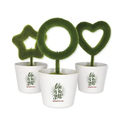Regalos publicitarios para farmacias planta purificadora de aire