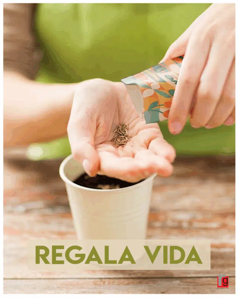 Artículos promocionales con semillas