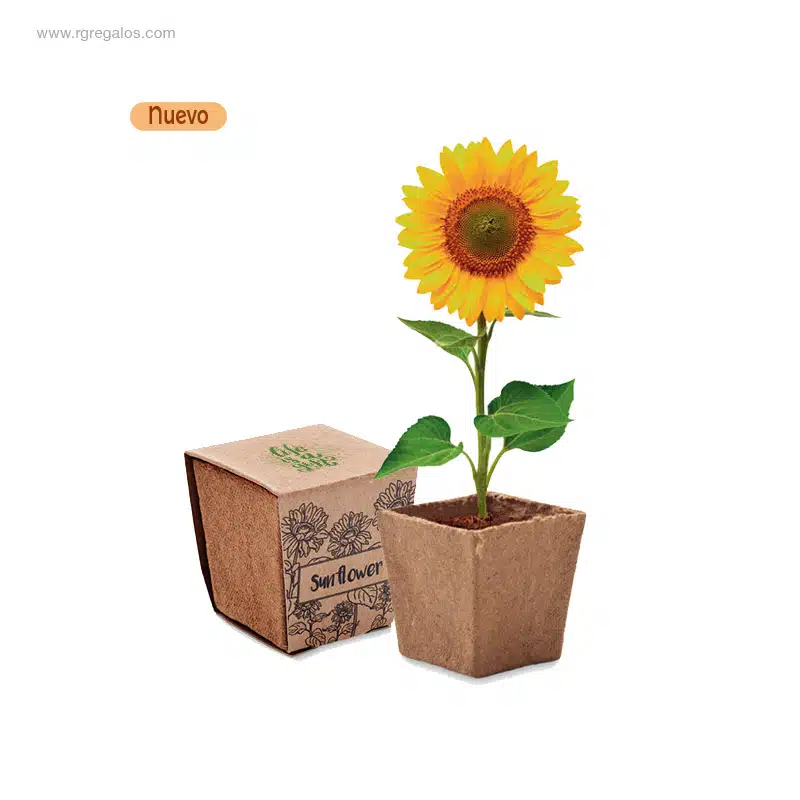 Maceta biodegradable personalizada