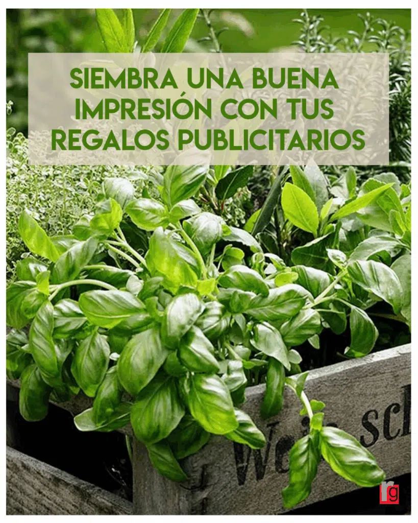 Regalos publicitarios con semillas